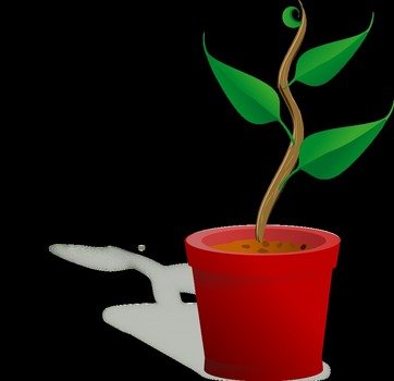 painted plant in a pot on a black background
