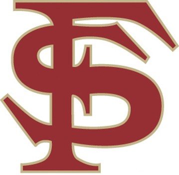 letters 'FS' as a logo