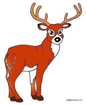 Free Animals By Phillip Martin White Tailed Deer