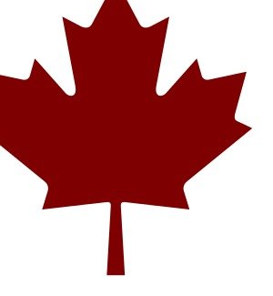 Burgundy Maple Leaf Vector Online Royalty