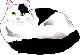 Clip Art Black And White Fluffy Cat