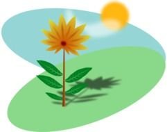 Heres A Beautiful Image Of Green Grassy Field With Bright Yellow