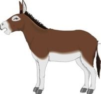 brown burro as graphic illustration