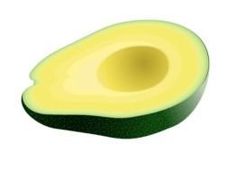 Avocado drawing