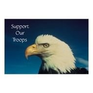 Source Url Http kootationcom bald Eagle In Our Areahtml