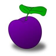 Plum You Can Use This