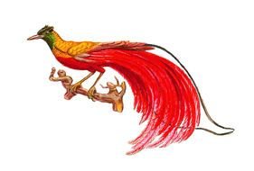 red bird with a long tail on a branch as an illustration