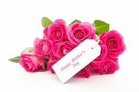 bouquet of pink roses as a picture for clipart