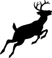 Big Bucks Logo