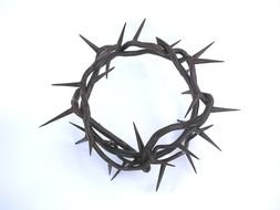 spiny wreath on a white background