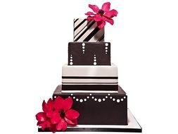 Modern Wedding Ideas Chocolate Brown Ivory Cake Hot Pink