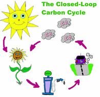 drawn carbon cycle