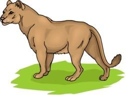 Free Lion