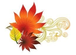 Fall Foliage Drawing