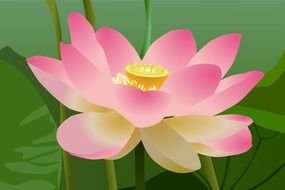 clipart of the pink lotus flower