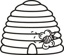 Bee Going Outside From Beehive Coloring Page Netart