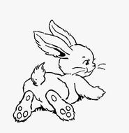 small bunny drawing