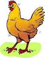 Golden chicken clipart