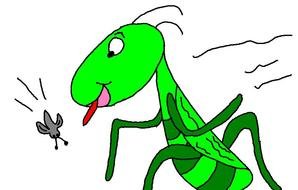 cartoon Jumping Grasshopper