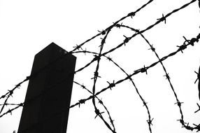 Barbed Wire Photodrawing