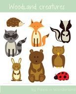 Woodland Animal Art Exams Bears Clip Items Owl