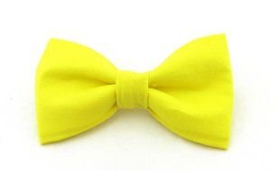 Bright Yellow Bow Tie