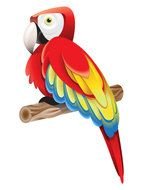 colorful parrot perched stick, drawing