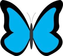 blue butterfly with a black outline on a white background