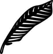 black feather on a white background