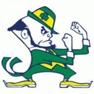 University Of Notre Dame Fighting Irish Brands The World
