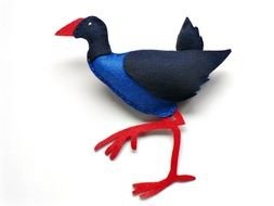 blue bird on a white background