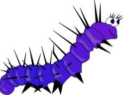 Violet caterpillar clipart