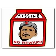 Missing Person Milk Carton Template N2