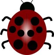 Pink Ladybug At Clkercom Vector Online Royalty N2