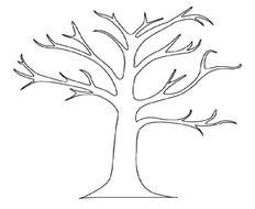 drawing of a tree trunk with branches