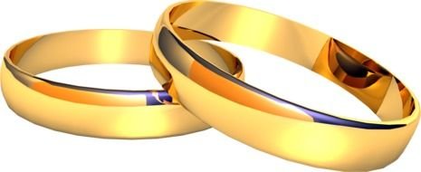 two gold wedding rings on a white background