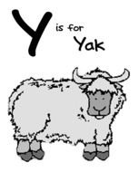 Yak, y, alphabet letter, drawing