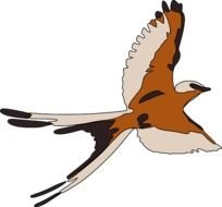 Swallow Martin Bird Animal Fly Flying Wings