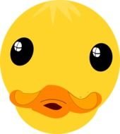 Duck Outline drawing