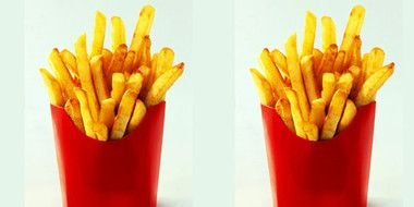 Fast Food Fries