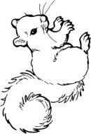 squirrel coloring book