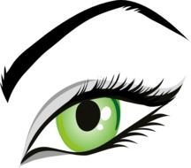 Eye Pictures Panda Free Images
