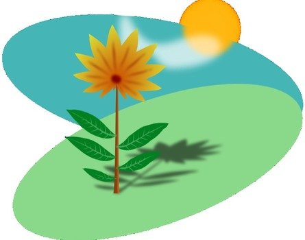 Heres A Beautiful Image Of Green Grassy Field With Bright Yellow