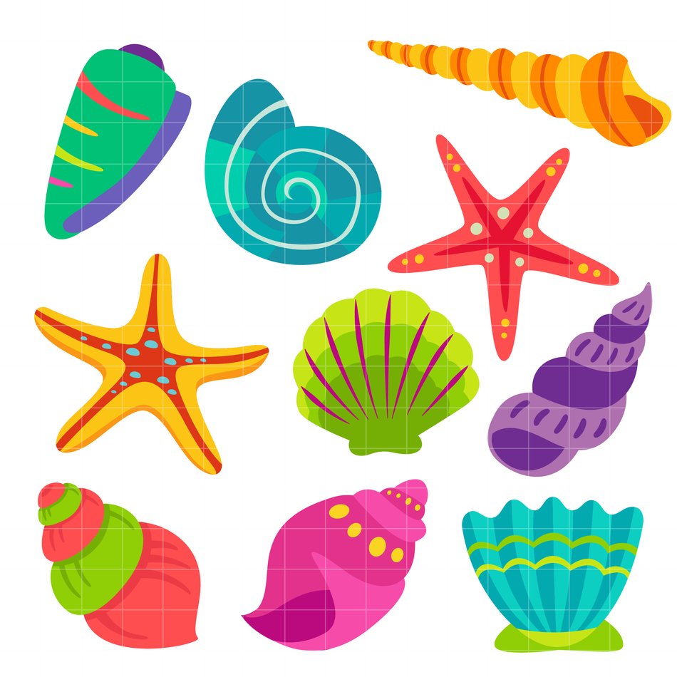 clipart of colorful seashells