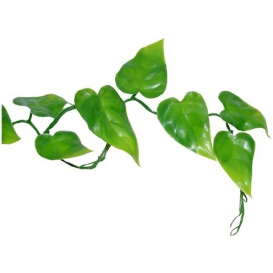 Jungle Vine Leaves