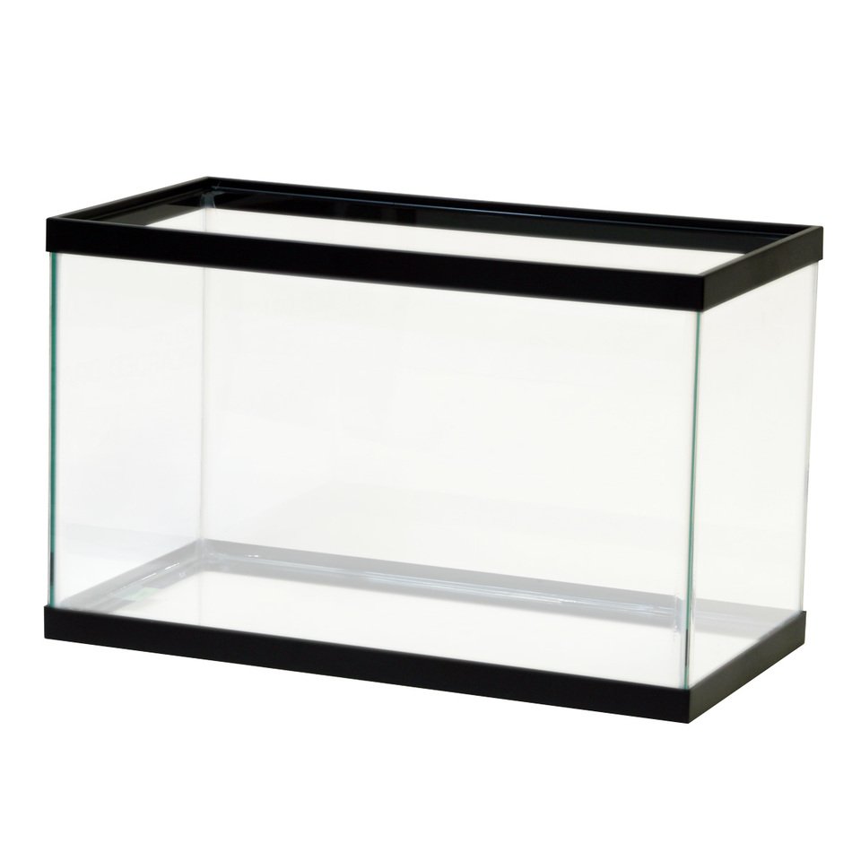 clipart of the Standard Aquarium