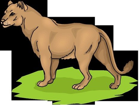 Free Lion