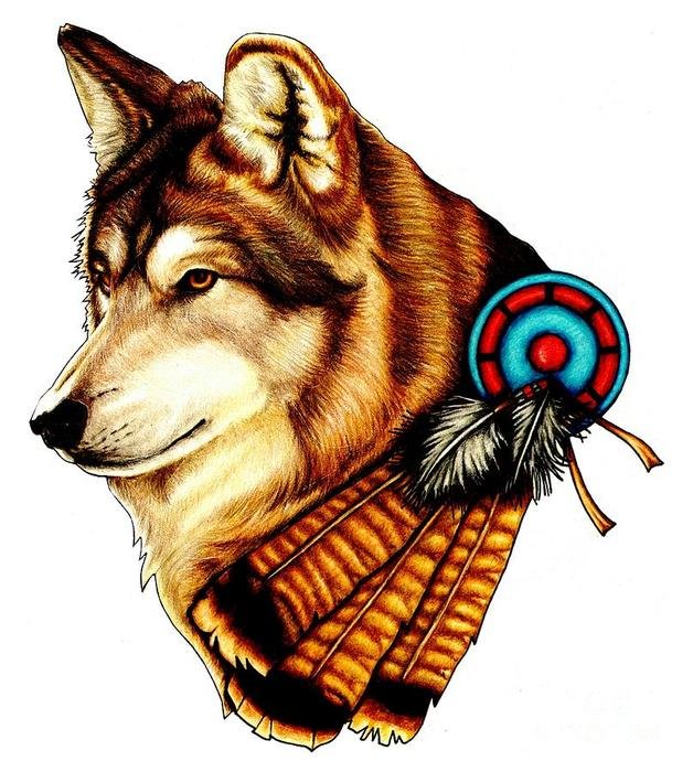 Native wolf drawing