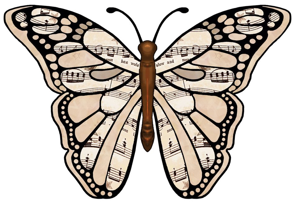 Music butterfly drawing