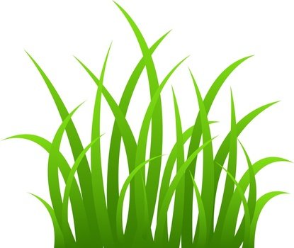 Grass Border Best